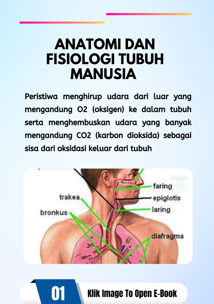 Materi P3K 1