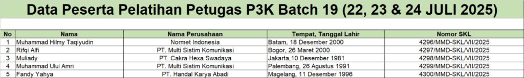 SKL P3K B19